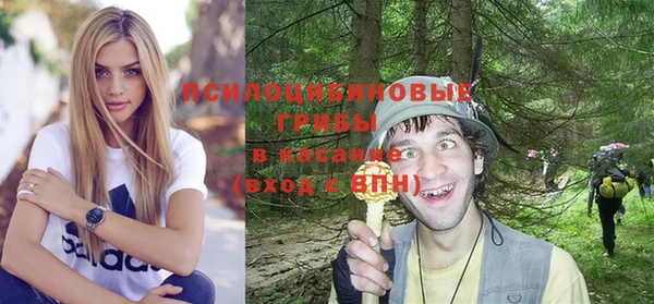 a pvp Пестово