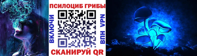 как найти закладки Кяхта Галлюциногенные грибы Cubensis